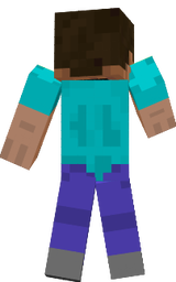Steve