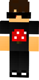 BUsLLESBR