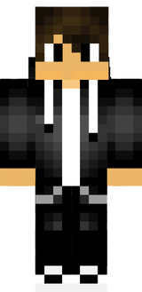 ThePVPTurtle Facing Left