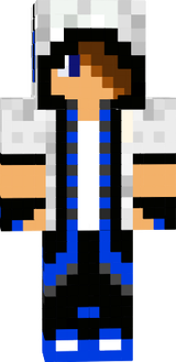 skin
