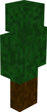 Tannenbaum
