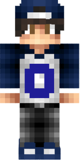 skin minecraft