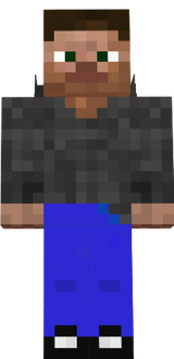 steve my version