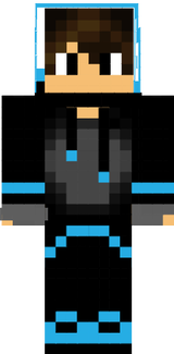 skin