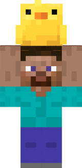pollito 