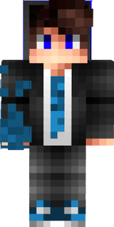 ARB SKINs