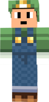 DS dude11 Luigi