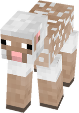 sheep[inside of wool]
