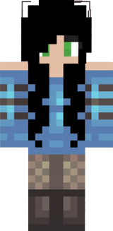 Nicole's Skin