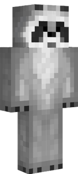mapache