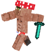 ricardo villager