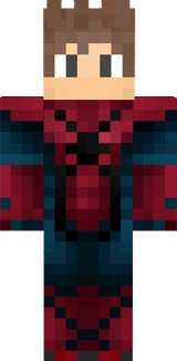 PlayerGamer_