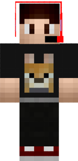 SonicAshCilan