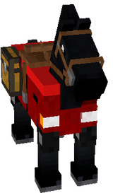 horse black