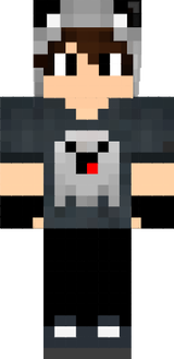 skinsapo