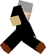  Concert man