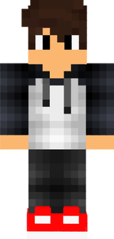 Skin pricipal