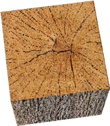 oak_log