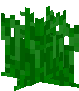 Grass