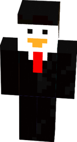 pinguin chick