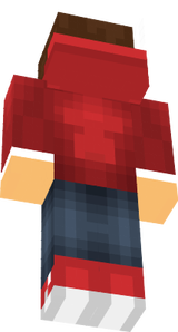 steve