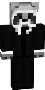Mapache