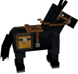 jack