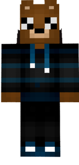 steve.ing