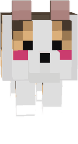 dog cute
