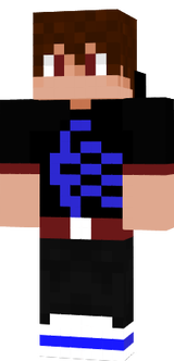 Voter Mage