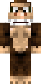 Spidaweb-Skin