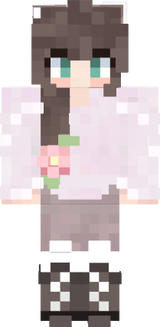 skindeminecraft