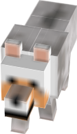 CartoonCraft