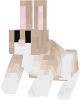 jack rabbit