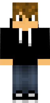 Sp4mp3HD