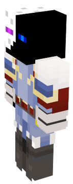 WinterSkin