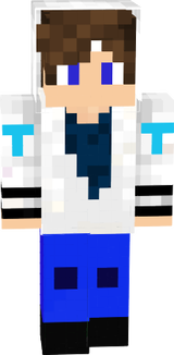 skin minecraft