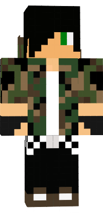 Preview of texture: hg
