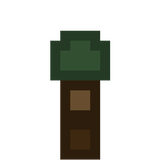 sapling_spruce