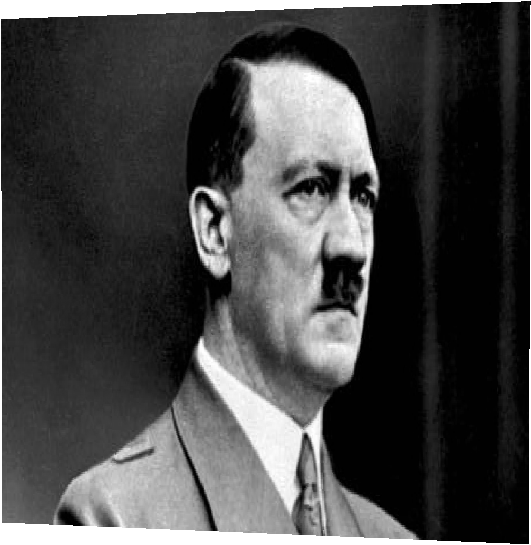 Adolf Hitler - Image Texture - Novaskin