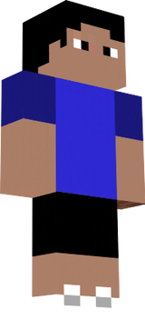 mrs. MINECRAFT