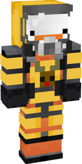 skin