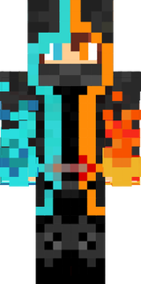 Dudesgamer