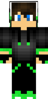 skin