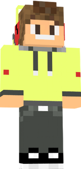 zikaobr0202