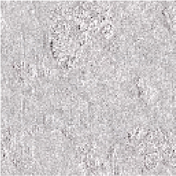 Preview of texture: bricks