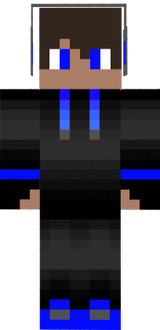 Skini