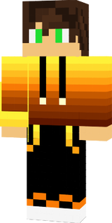 auditor