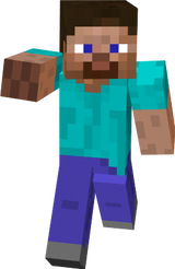 steve