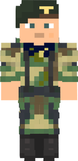 arm333